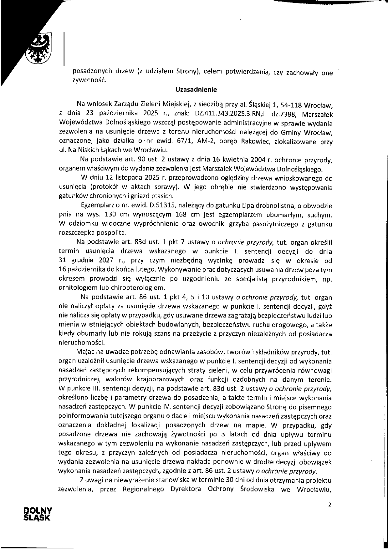 wycinka drzew na niskich łąkach II