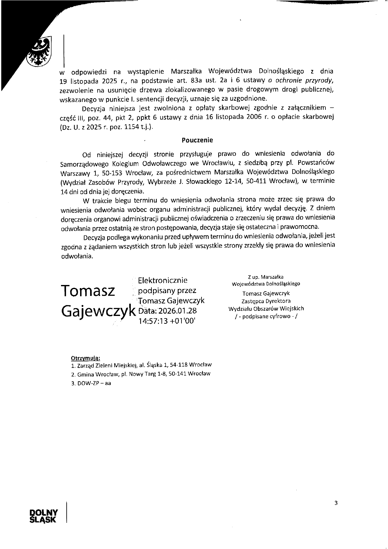 wycinka drzew na niskich łąkach III