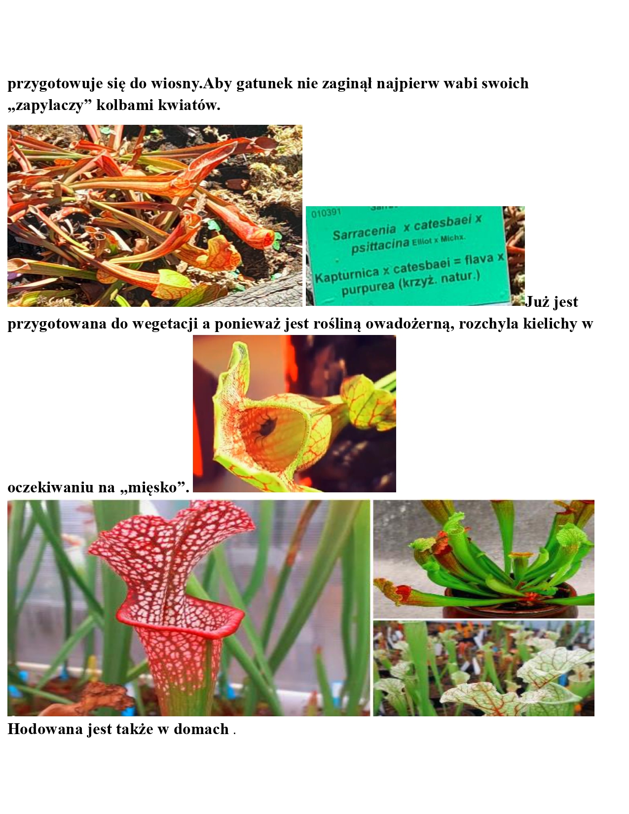 KWIECIEŃ-2026_page-0016.jpg